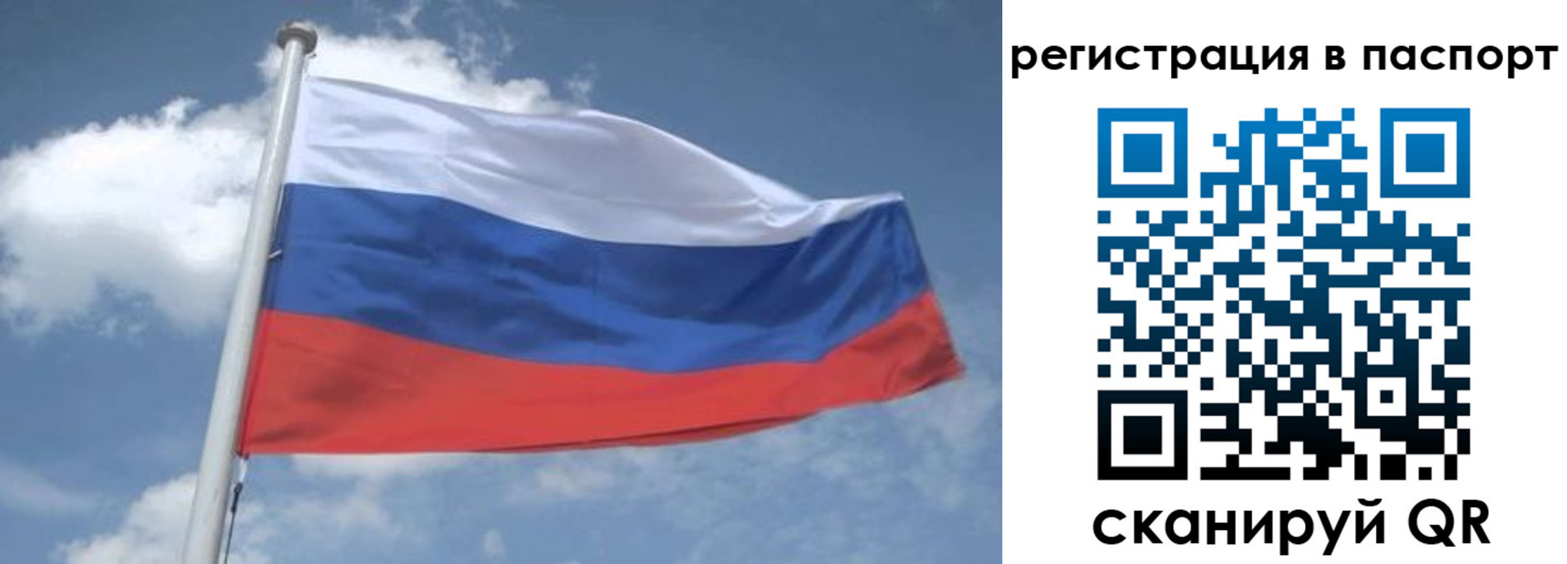 временная регистрация надежно в Няндоме